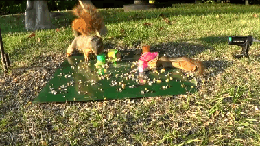 QQ图片20191227184007.gif